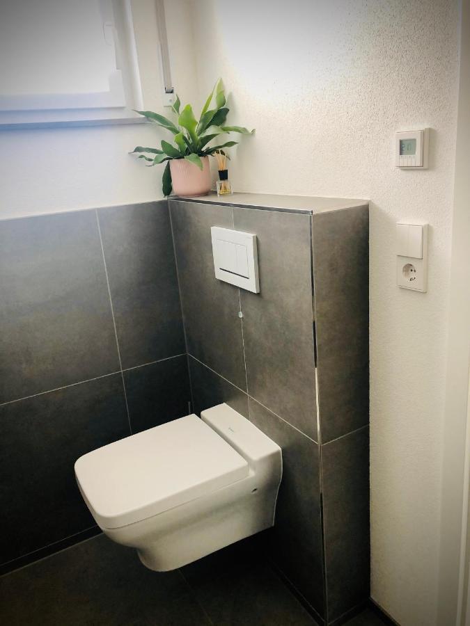 Ferienwohnung No.55 Lörrach Εξωτερικό φωτογραφία